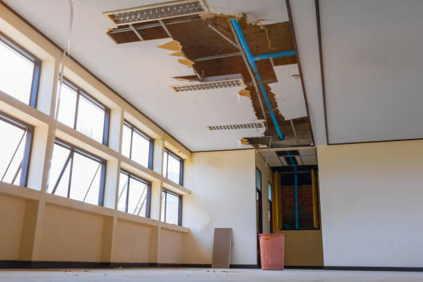 Best Local water damage restoration  in Holcom, KS