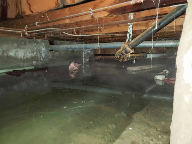 Local water damage restoration in Holcom, KS