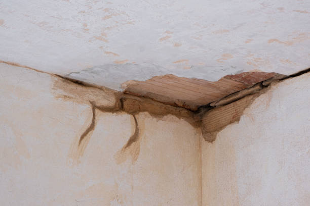  Holcom, KS Water damage restoration Pros