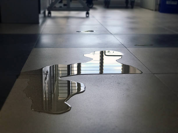 Best Water damage restoration near me  in Holcom, KS