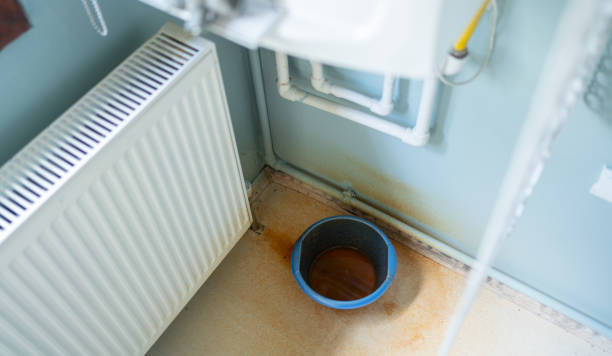 Best Basement water damage restoration  in Holcom, KS