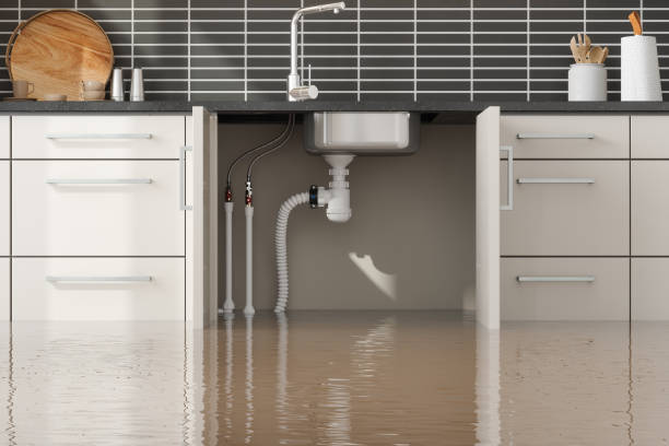 Best Ceiling water damage repair  in Holcom, KS